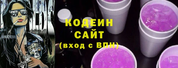 ECSTASY Бородино