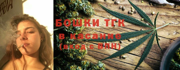 ECSTASY Бородино