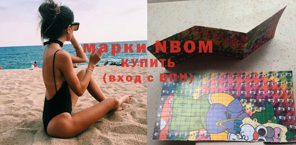 мдпв Верхний Тагил