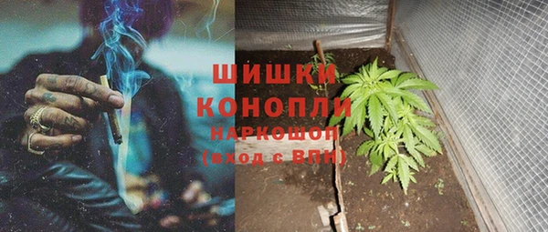 ПСИЛОЦИБИНОВЫЕ ГРИБЫ Бугульма