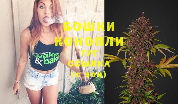 ПСИЛОЦИБИНОВЫЕ ГРИБЫ Бугульма