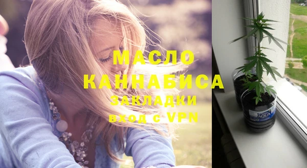 ECSTASY Бородино