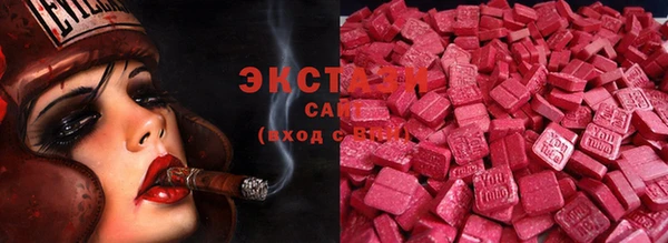 ECSTASY Бородино