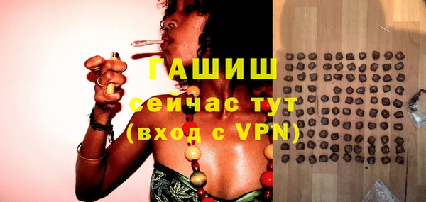 ECSTASY Бородино