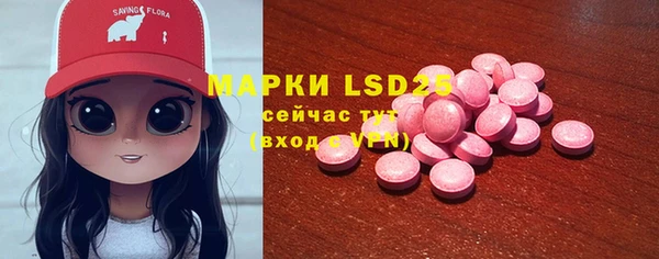 ECSTASY Бородино