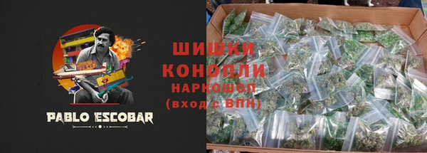 ECSTASY Бородино