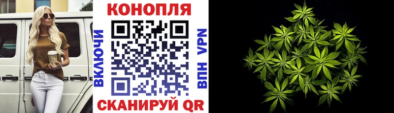 Шишки марихуана ГИДРОПОН Гусев